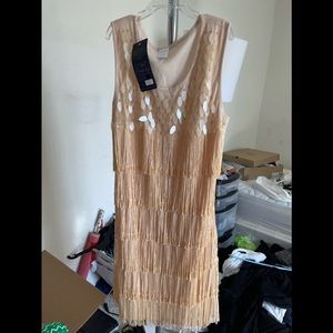 Generic dress for flapper costume party